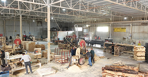 Ahşap Palet Fabrikası