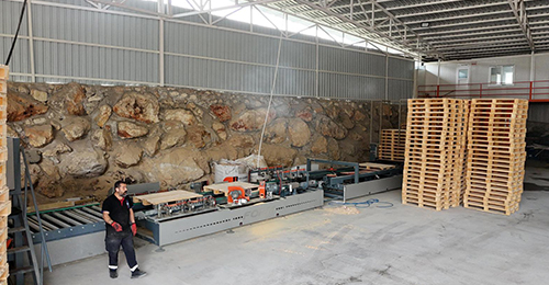 Ahşap Palet Fabrikası